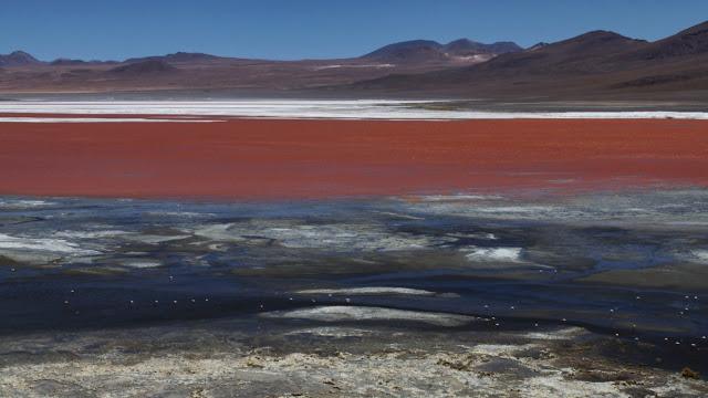 La laguna colorada La laguna colorada