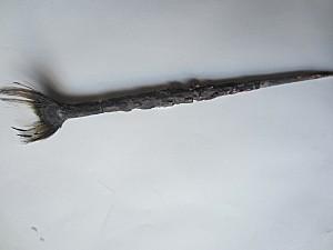 Les amateurs d'art pinceau-fetiche.jpg