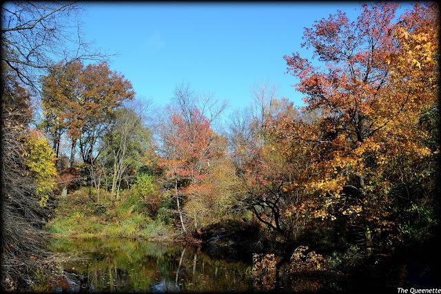 Les jolies couleurs d'automne de Central Park