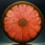 Dennis Wojtkiewicz – Fruits Translucides Wojtkiewicz - Fruits 04