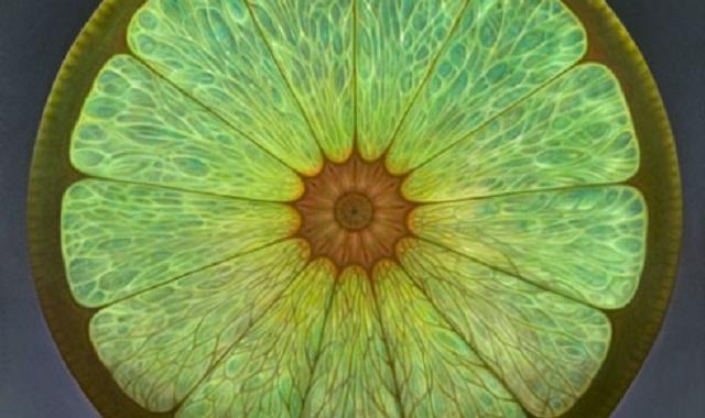Dennis Wojtkiewicz – Fruits Translucides Wojtkiewicz - Fruits
