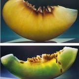 Dennis Wojtkiewicz – Fruits Translucides Wojtkiewicz - Fruits 09