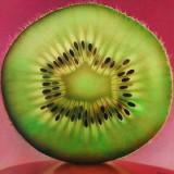 Dennis Wojtkiewicz – Fruits Translucides Wojtkiewicz - Fruits 01