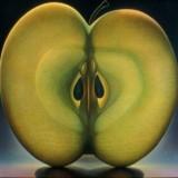 Dennis Wojtkiewicz – Fruits Translucides Wojtkiewicz - Fruits 05