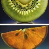 Dennis Wojtkiewicz – Fruits Translucides Wojtkiewicz - Fruits 08