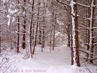 L'appel de la forêt L'appel de la forêt