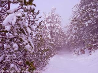L'appel de la forêt L'appel de la forêt