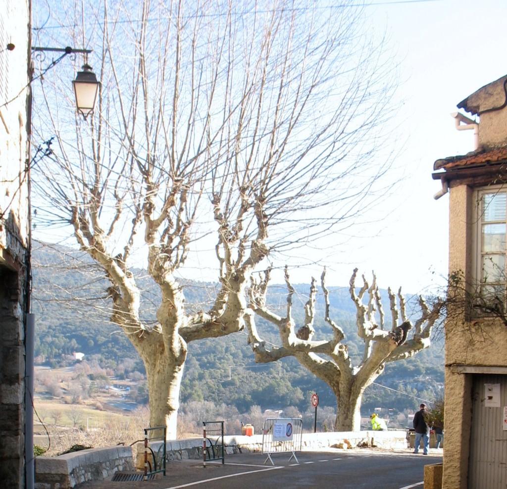 002 (2) Travaux d’élagage