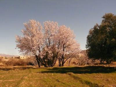 Dans le désert marocain