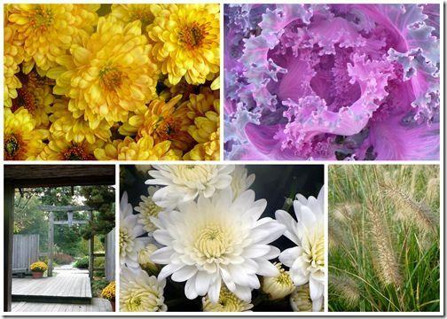 2011-10-24 Brookside Gardens 2011-10-24 Brookside Gardens