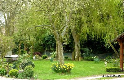 Le jaune au jardin... Le jaune au jardin...