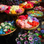 marché aux fleurs chatuchak bangkok