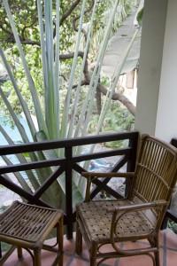 arbre du voyageurR La folie Angkor