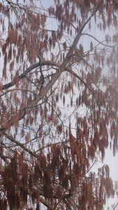 mais ou et donc ... 016