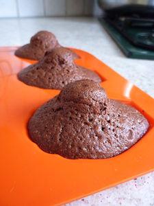 Madeleines au chocolat et à la fleur de sel P1050323