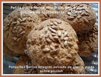 Petits pains farine intégrale, son d´avoine, graines de tournesol sur poolish - Panecillos harina integral, salvado de avena, pipas sobre poolish