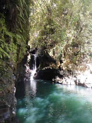 Cook, Samoa, Fidjis, toujours plus à l'Ouest... Cook, Samoa, Fidjis, toujours plus à l'Ouest...