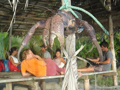 Cook, Samoa, Fidjis, toujours plus à l'Ouest... Cook, Samoa, Fidjis, toujours plus à l'Ouest...
