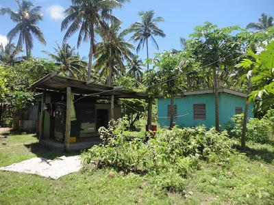 Cook, Samoa, Fidjis, toujours plus à l'Ouest... Cook, Samoa, Fidjis, toujours plus à l'Ouest...