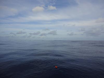 Cook, Samoa, Fidjis, toujours plus à l'Ouest... Cook, Samoa, Fidjis, toujours plus à l'Ouest...