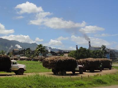 Cook, Samoa, Fidjis, toujours plus à l'Ouest... Cook, Samoa, Fidjis, toujours plus à l'Ouest...