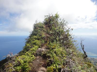 Iles de la Société ( de consommation ! ) Iles de la Société ( de consommation ! )