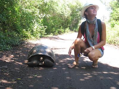 Galapagos : un bestiaire onéreux Galapagos : un bestiaire onéreux