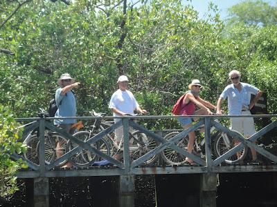 Galapagos : un bestiaire onéreux Galapagos : un bestiaire onéreux
