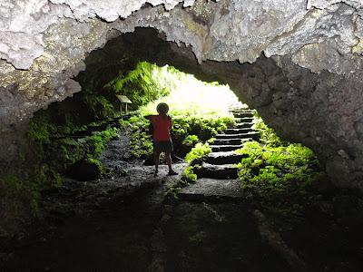 Galapagos : un bestiaire onéreux Galapagos : un bestiaire onéreux