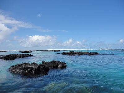 Galapagos : un bestiaire onéreux Galapagos : un bestiaire onéreux