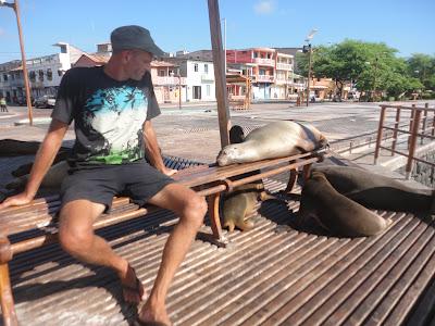 Galapagos : un bestiaire onéreux Galapagos : un bestiaire onéreux