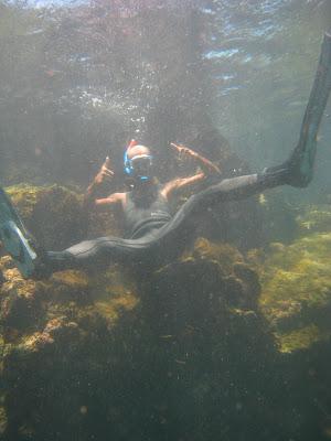 Galapagos : un bestiaire onéreux Galapagos : un bestiaire onéreux