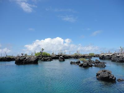 Galapagos : un bestiaire onéreux Galapagos : un bestiaire onéreux