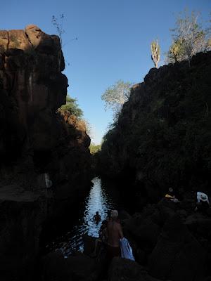 Galapagos : un bestiaire onéreux Galapagos : un bestiaire onéreux
