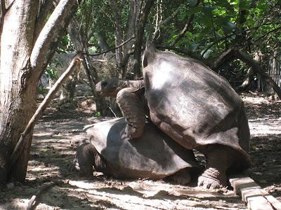 Galapagos : un bestiaire onéreux Galapagos : un bestiaire onéreux