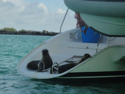 Galapagos : un bestiaire onéreux Galapagos : un bestiaire onéreux