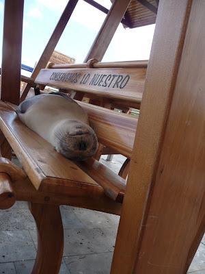 Galapagos : un bestiaire onéreux Galapagos : un bestiaire onéreux