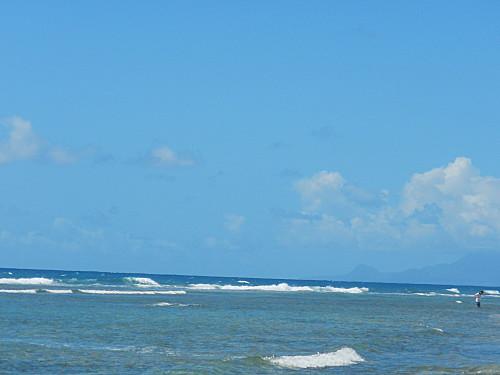 les tival à la plage des raisins clairs DSCN5694.JPG