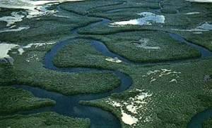 Le fleuve Casamance