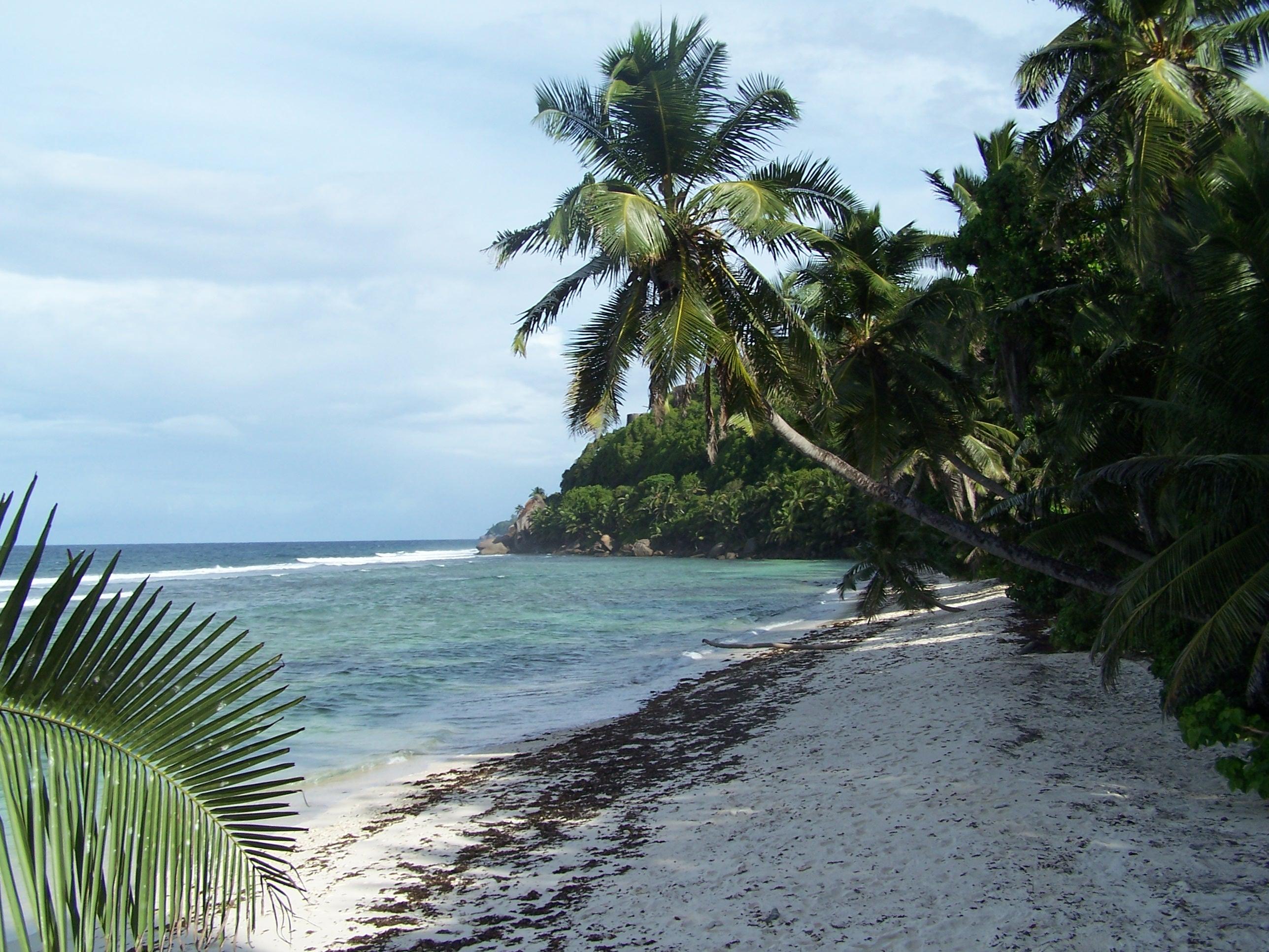 SEYCHELLES : Ile de MAHE jour 1 http://img11.hostingpics.net/pics/87301606MahAnseParnel.jpg