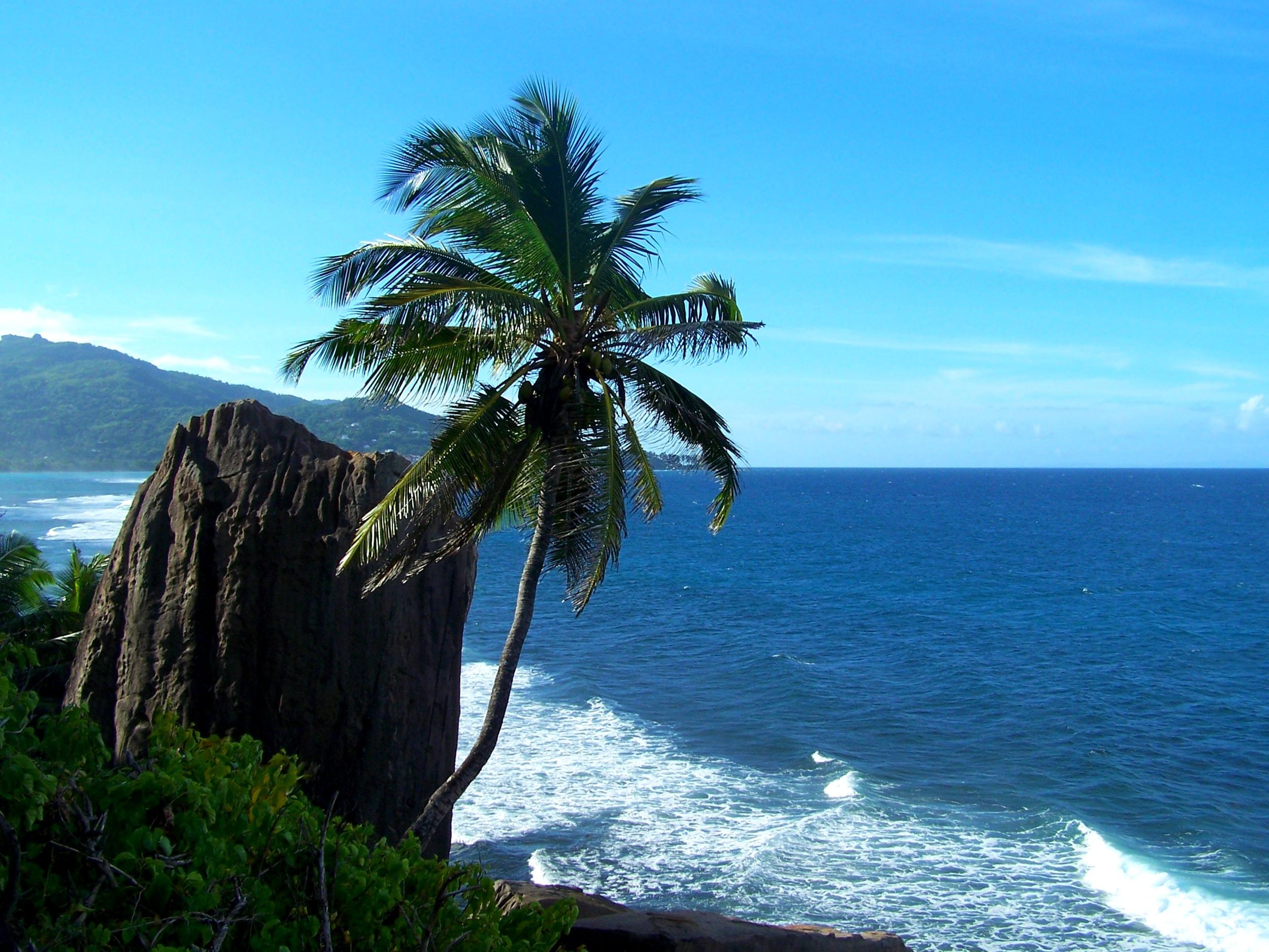 SEYCHELLES : Ile de MAHE jour 1 http://img11.hostingpics.net/pics/97177801MahCapLascars.jpg