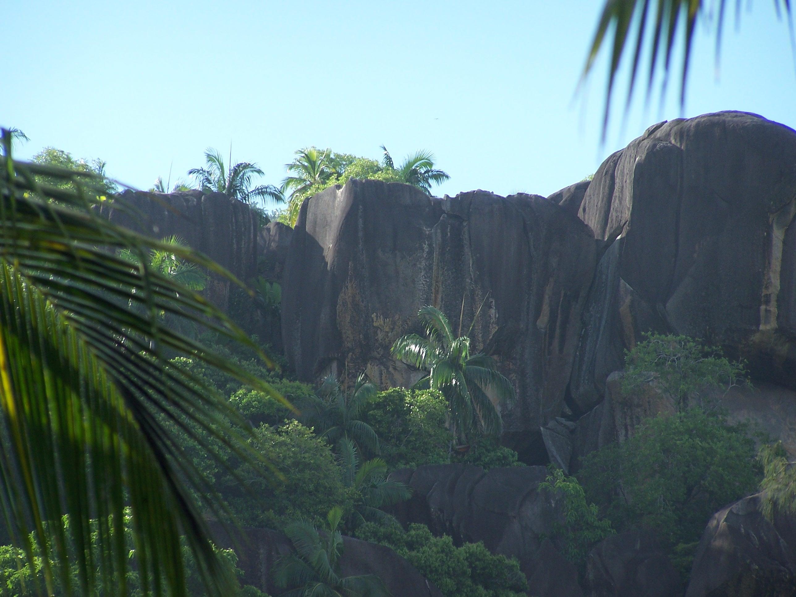 SEYCHELLES : Ile de MAHE jour 1 http://img11.hostingpics.net/pics/56305705Mahderrierecaplascars2.jpg