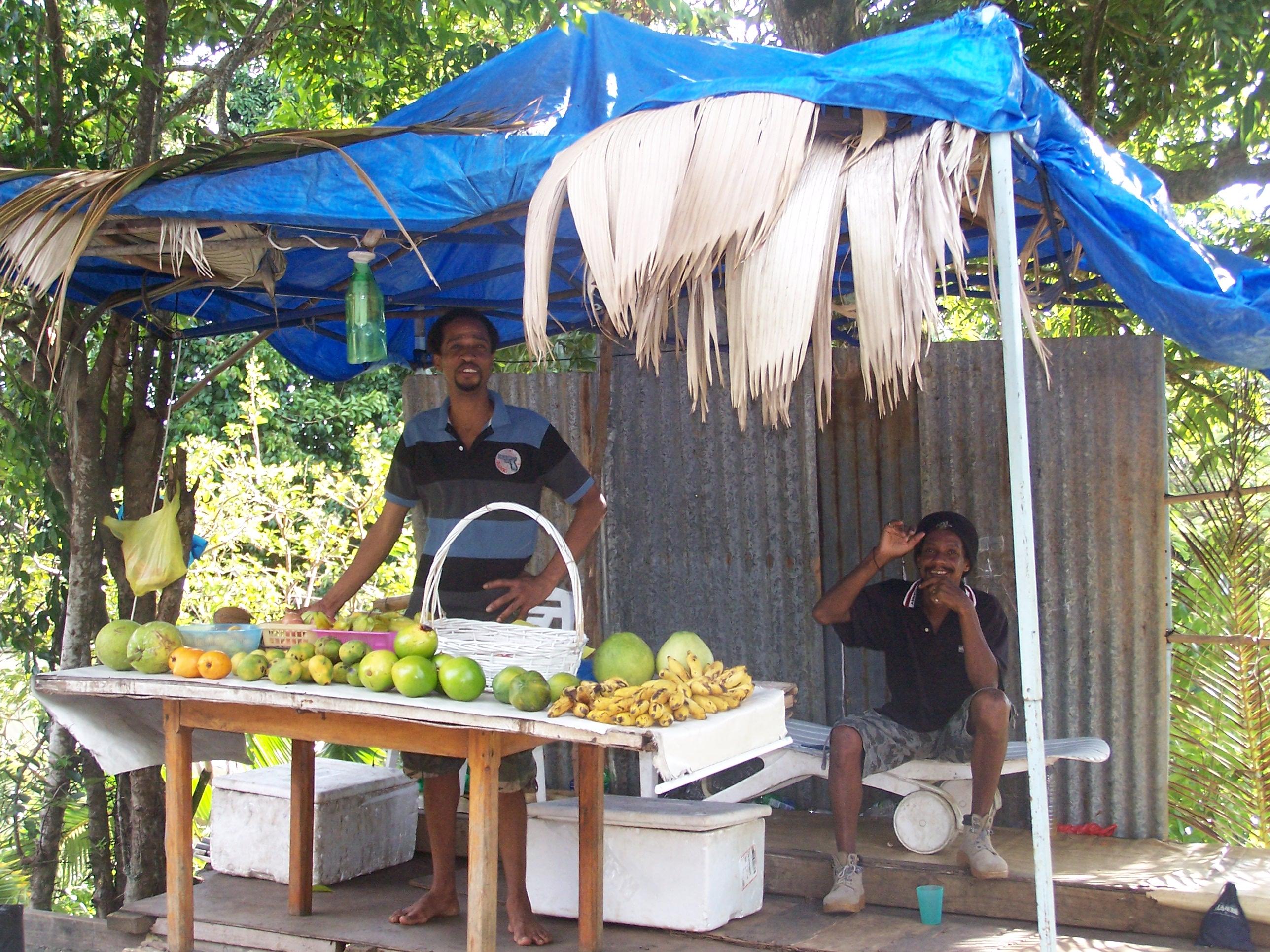SEYCHELLES : Ile de MAHE jour 1 http://img11.hostingpics.net/pics/538388MahversPolicebay.jpg