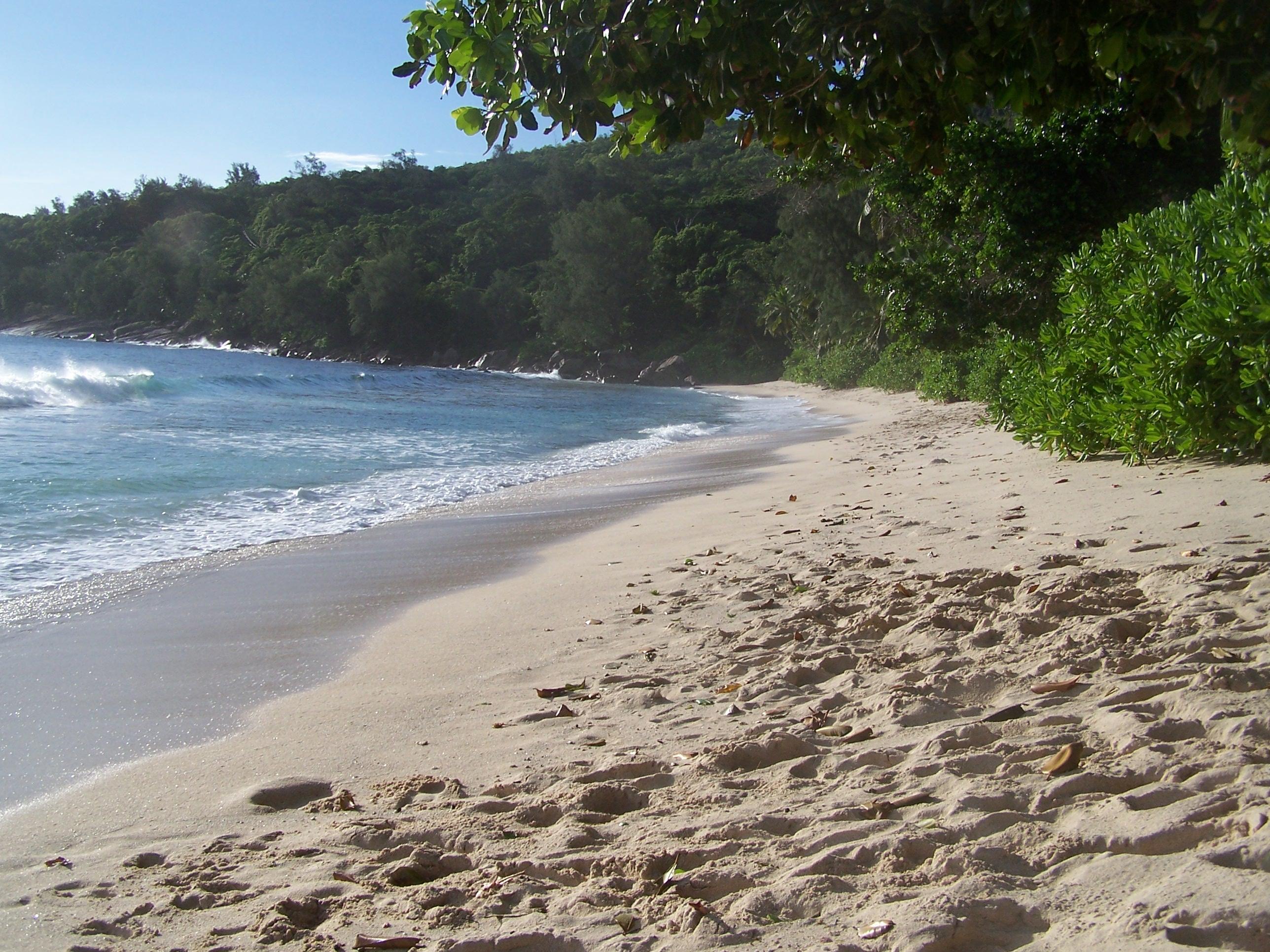 SEYCHELLES : Ile de MAHE jour 1 http://img11.hostingpics.net/pics/52377916MahAnseTakamaka2.jpg