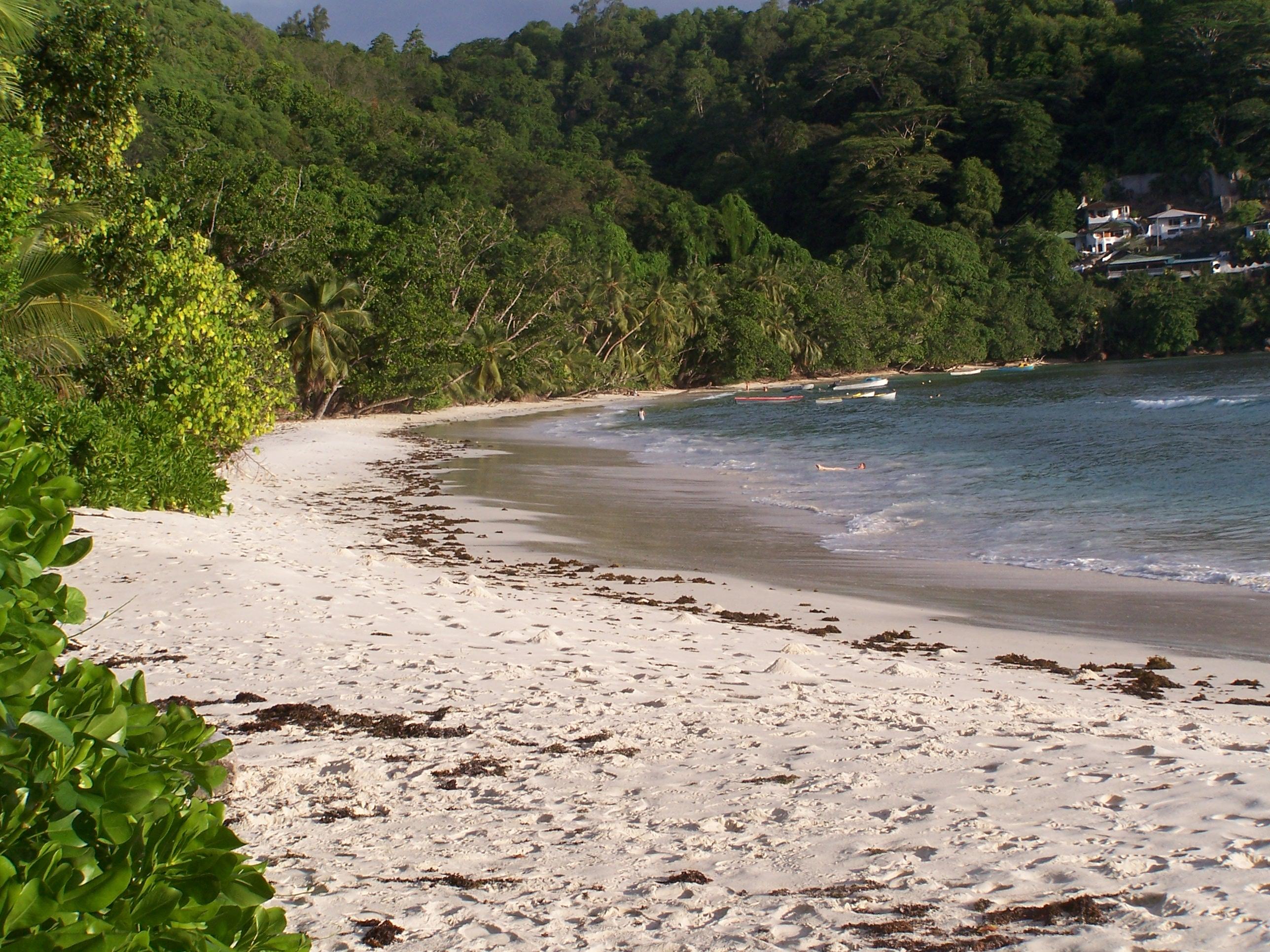 SEYCHELLES : Ile de MAHE jour 1 http://img11.hostingpics.net/pics/69355620Mahbaielazare5.jpg