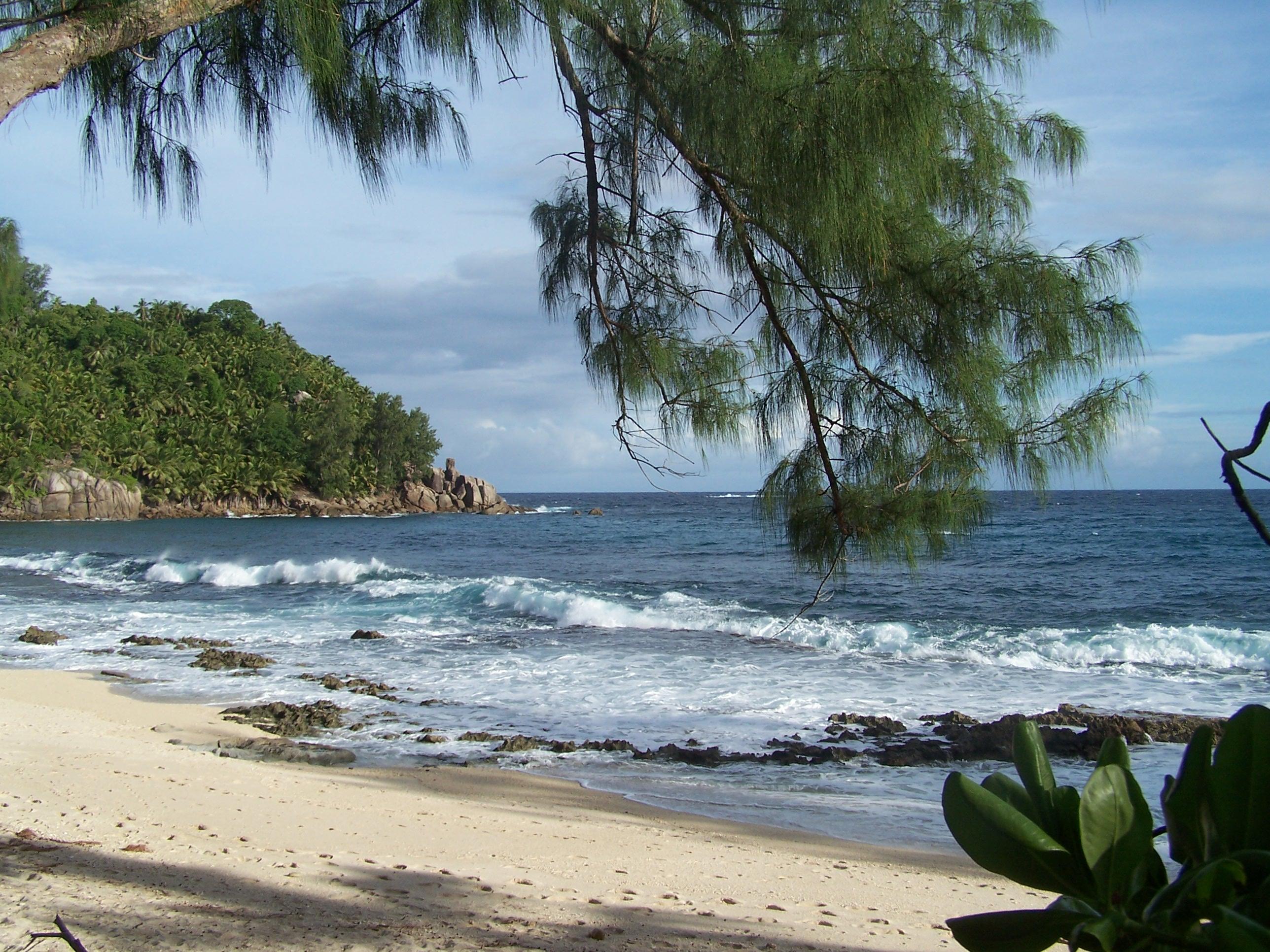 SEYCHELLES : Ile de MAHE jour 1 http://img11.hostingpics.net/pics/31838113MahAnsePolice4.jpg