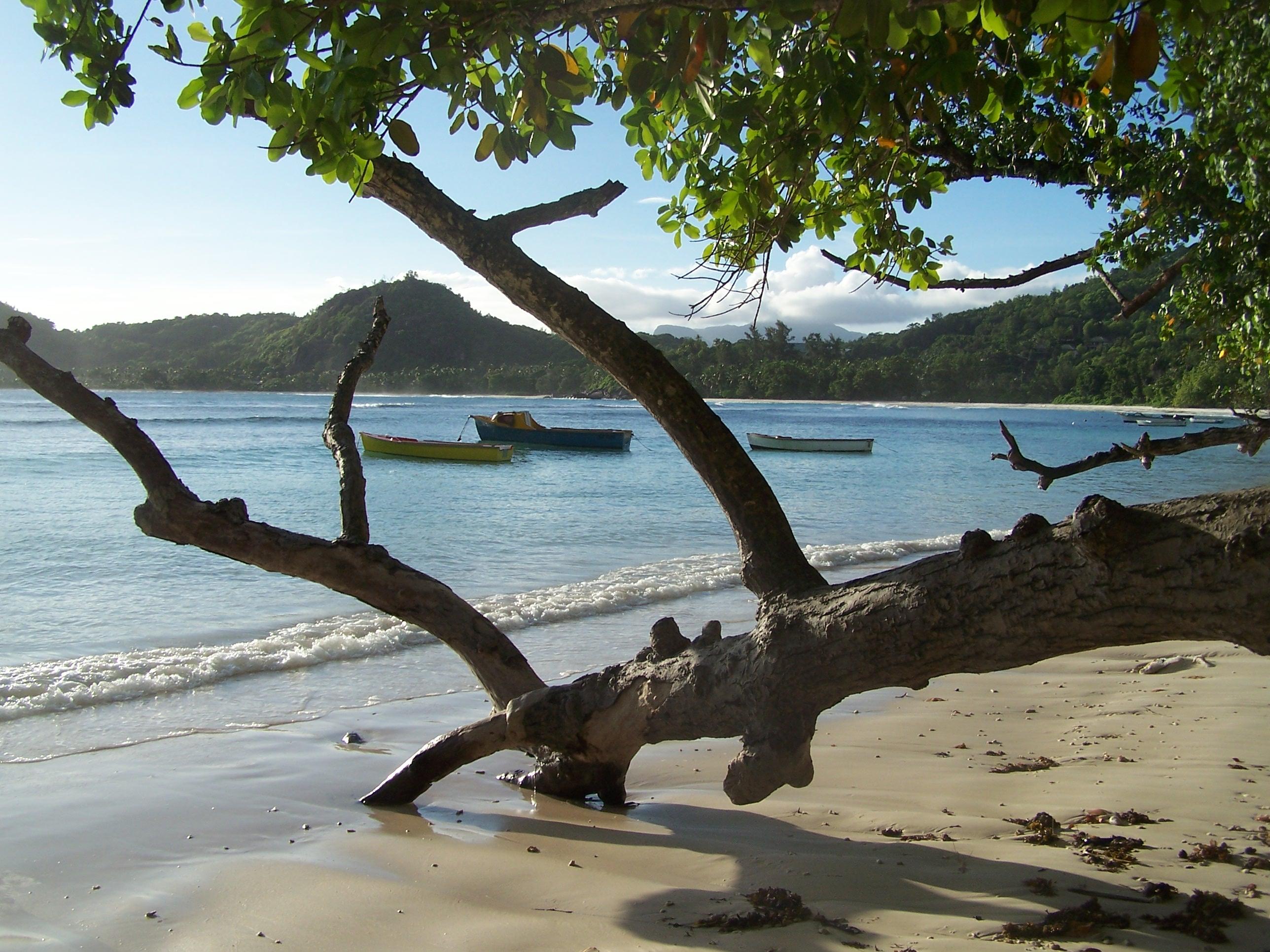 SEYCHELLES : Ile de MAHE jour 1 http://img11.hostingpics.net/pics/45650419Mahbaielazare3.jpg