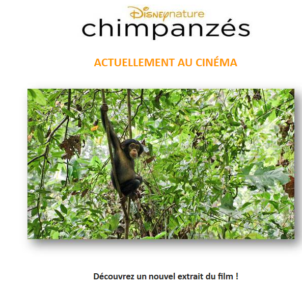 Disneynature Chimpanzés : Découvrez un nouvel extrait du film !‏