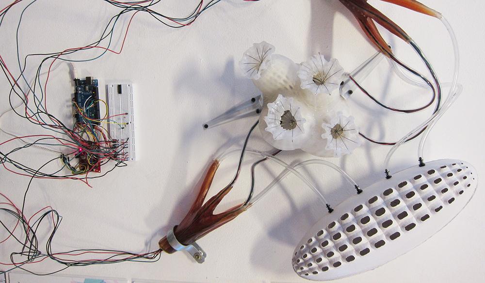 Transient Threshold – Jacques Lesec & Christopher Martin Transient Threshold - Jacques Lesec & Christopher Martin - 4