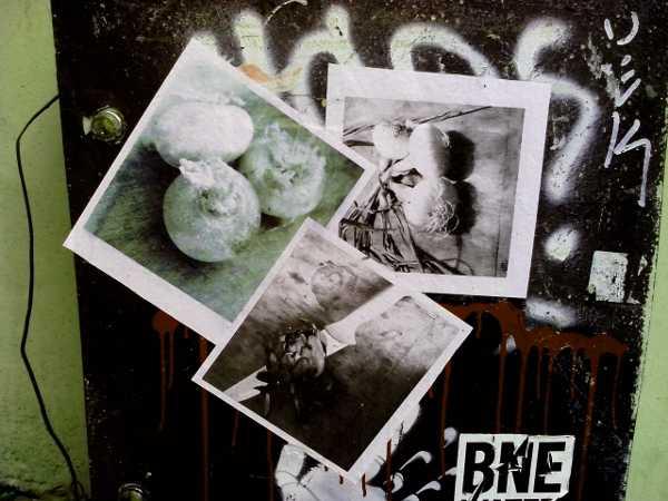 agricustrie.jpg, fév. 2013 agricustrie.jpg